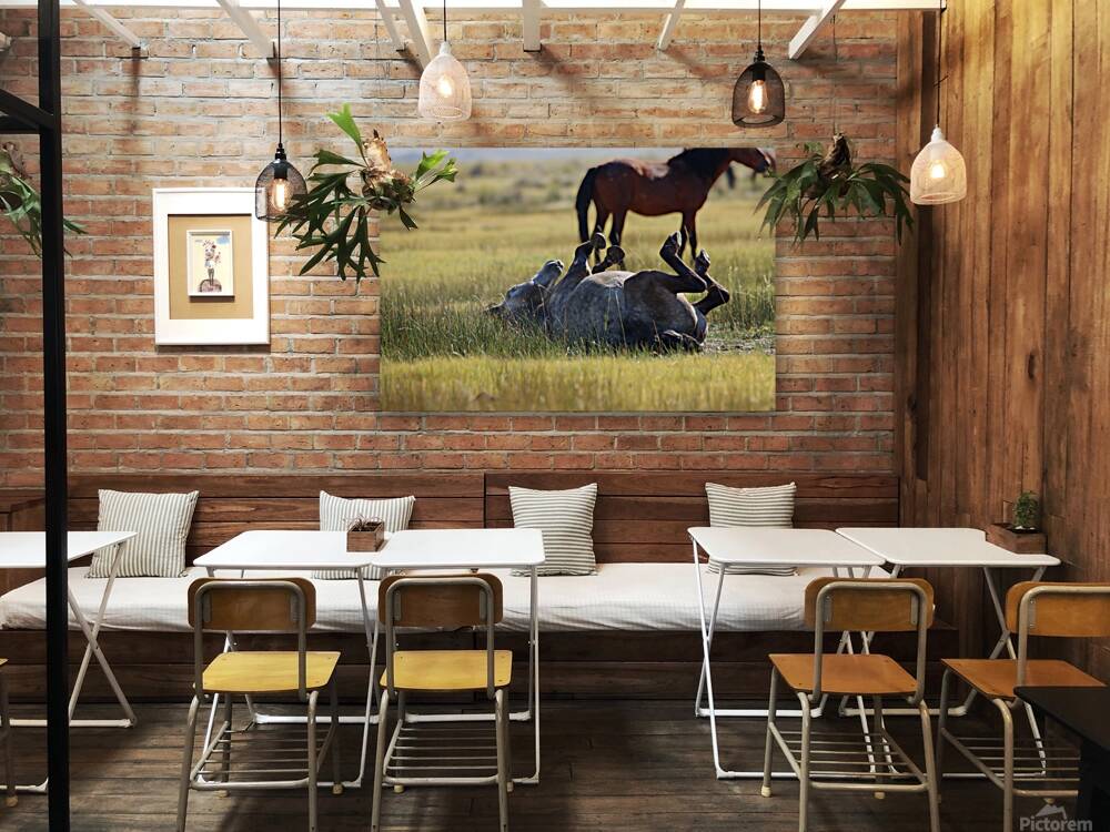 Mono Lake Wild Horse Series 1 Reproduction