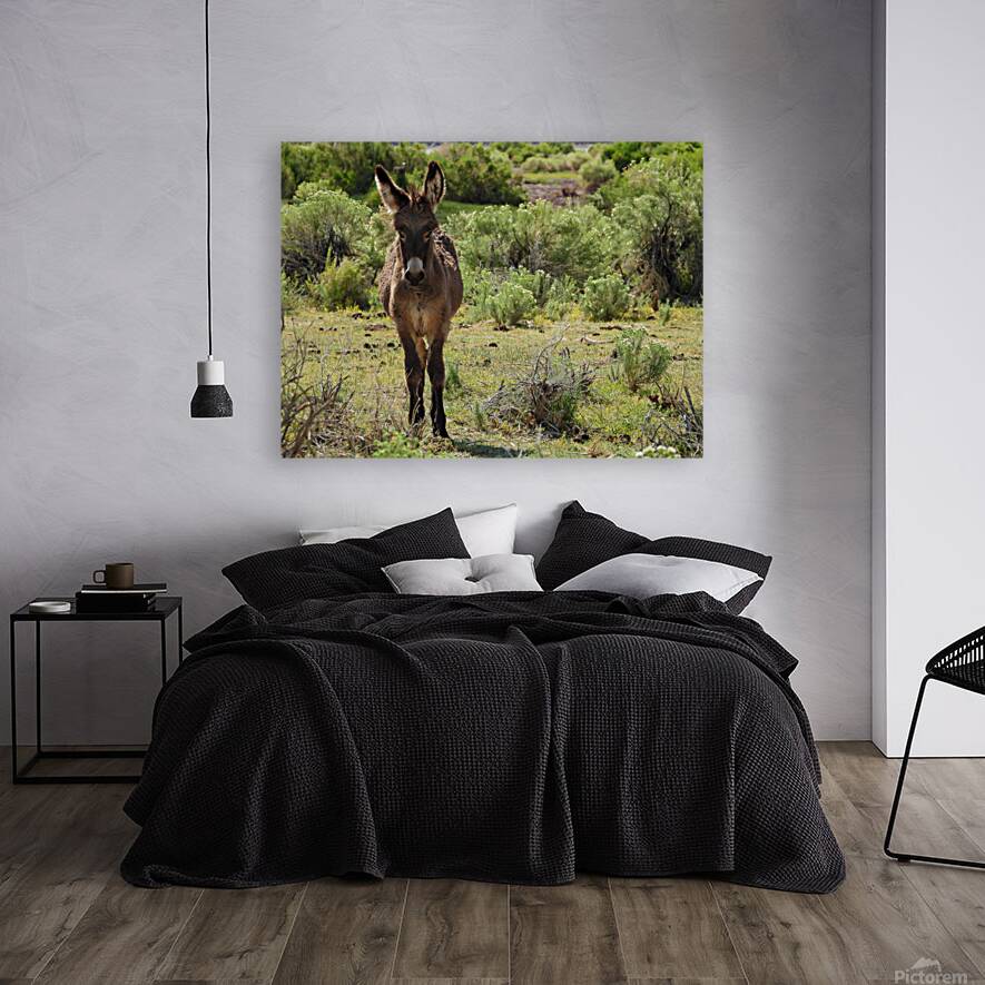 Marietta Wild Burro Range HMA 1 Reproduction