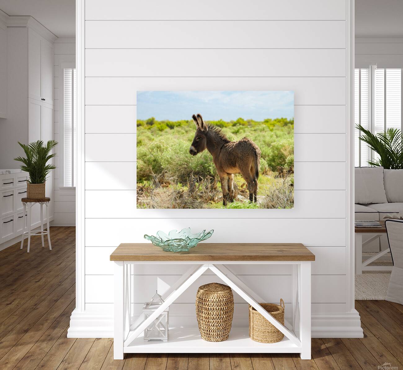 Marietta Wild Burro Range HMA 1 Reproduction