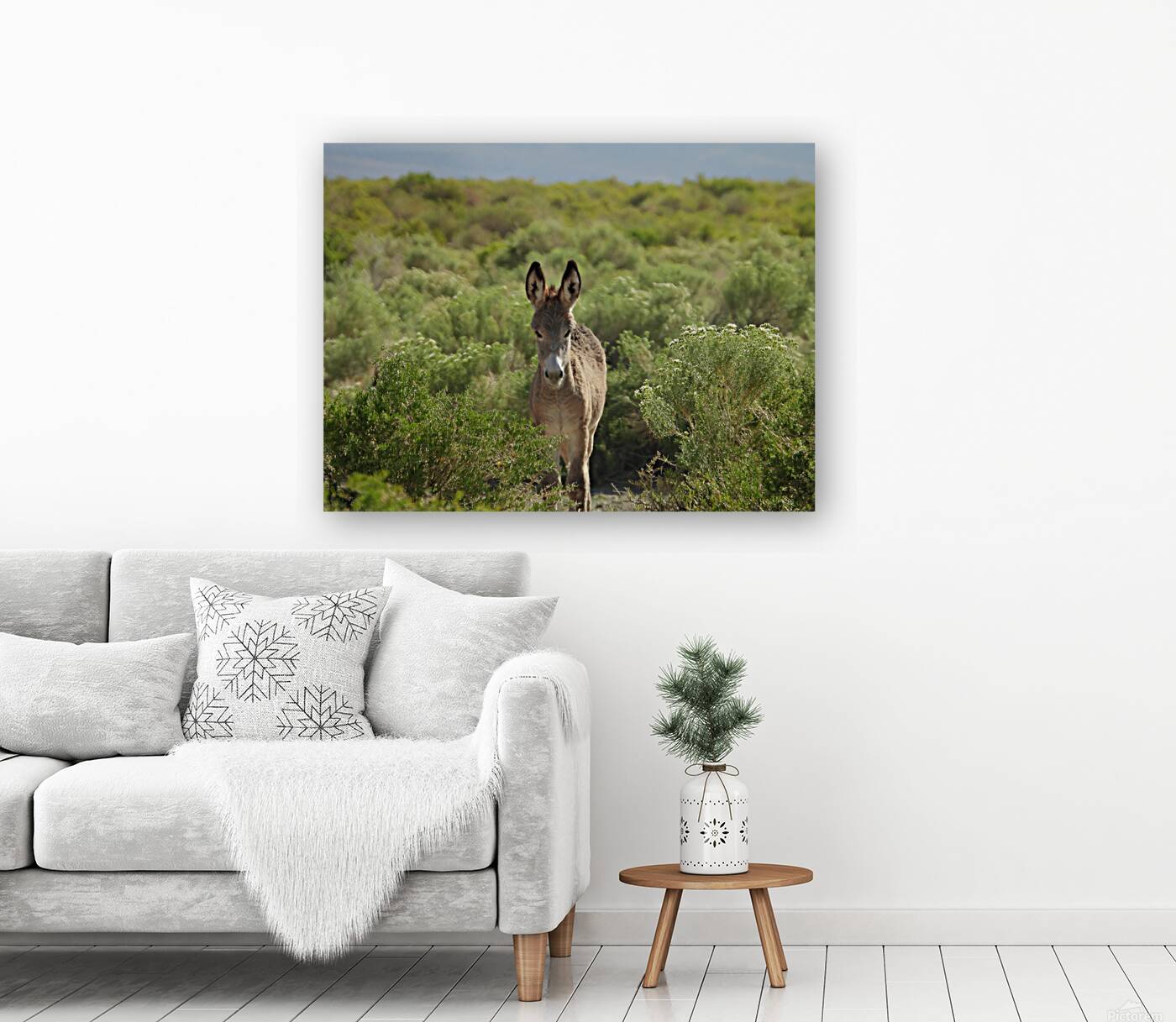 Marietta Wild Burro Range HMA 1 Reproduction