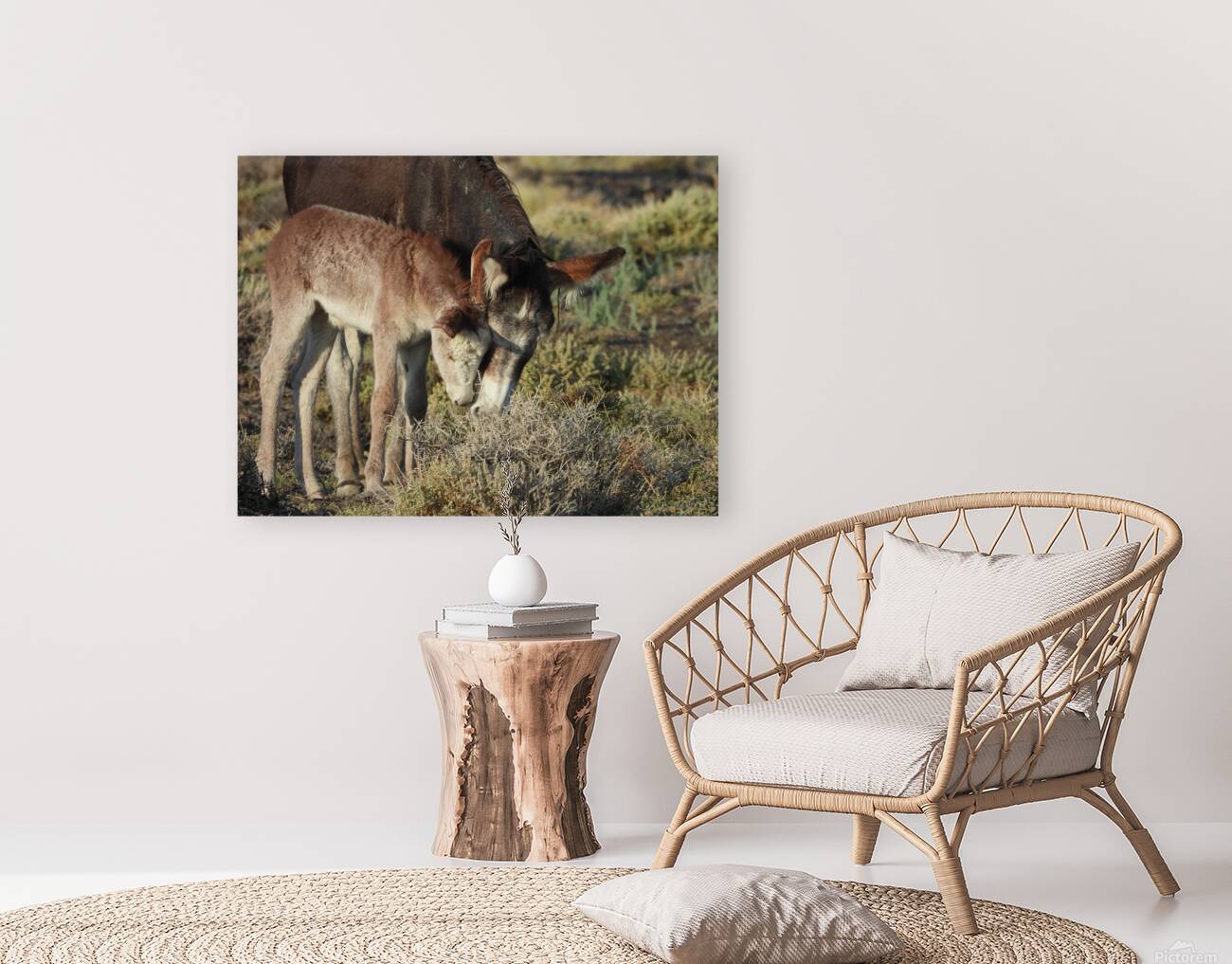 Marietta Wild Burro Range HMA 2 Reproduction