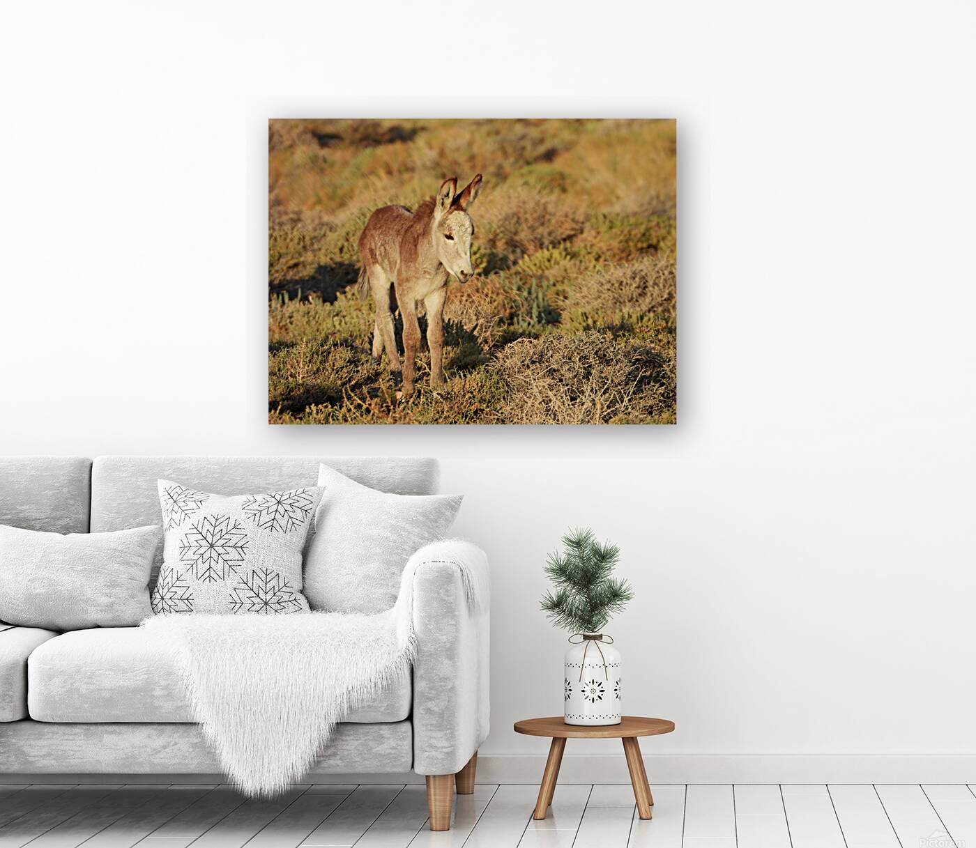 Marietta Wild Burro Range HMA 1 Reproduction