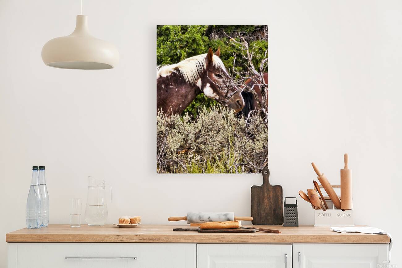 Nevada Mustang series2 Reproduction