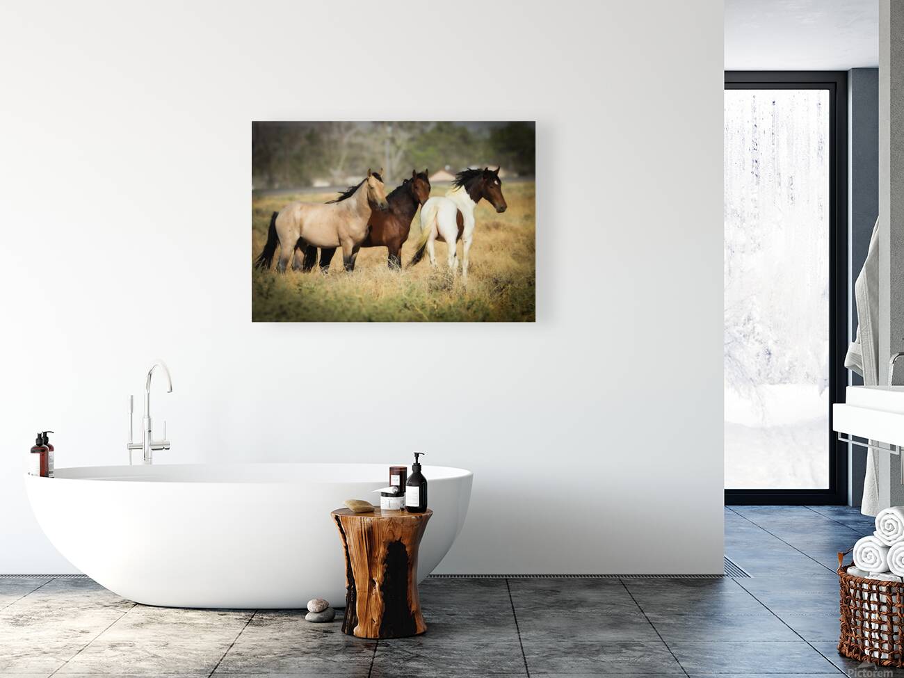 Nevada Mustang series 4 1 Reproduction