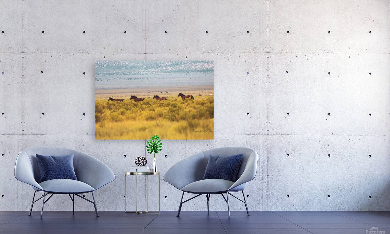 Nevada Mustang series 6 1 Reproduction