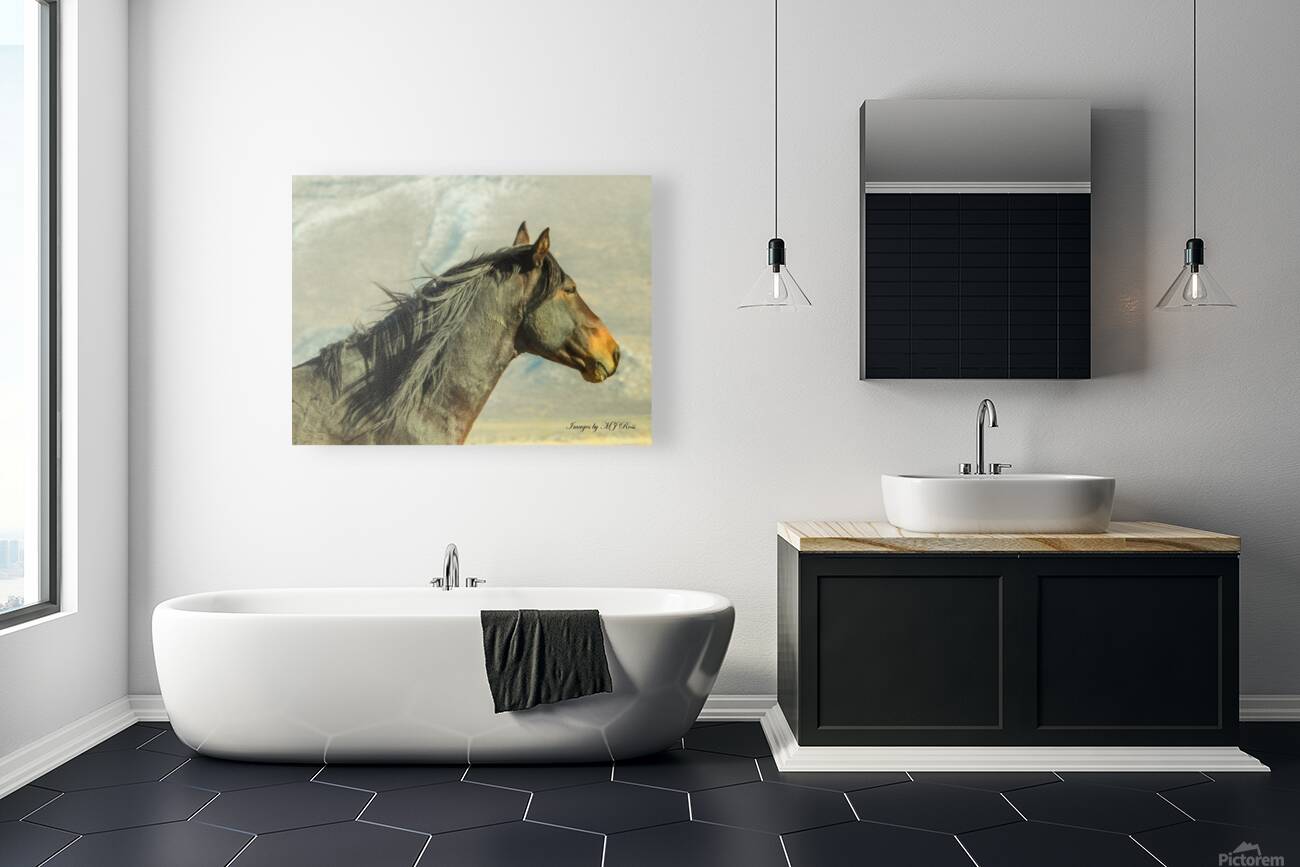 Nevada Mustang series 8  1 Reproduction