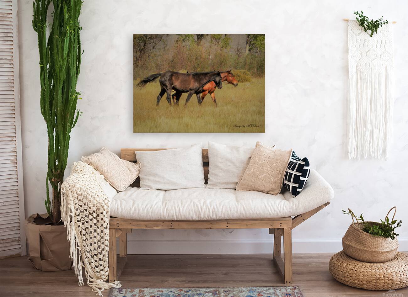 Nevada Mustang series 9 1 Reproduction