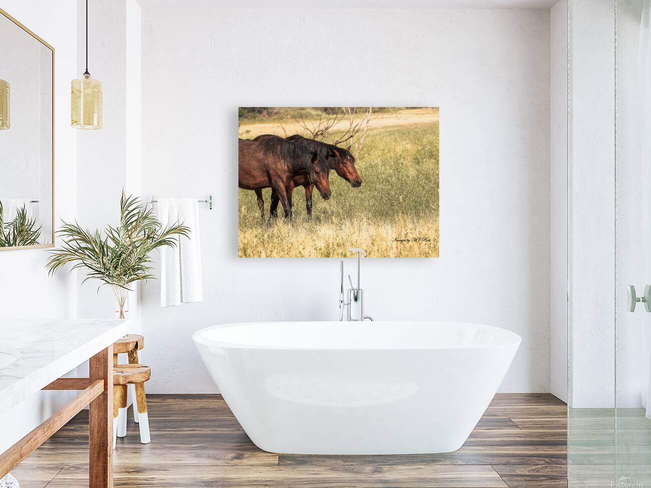 Nevada Mustang series 10 1 Reproduction