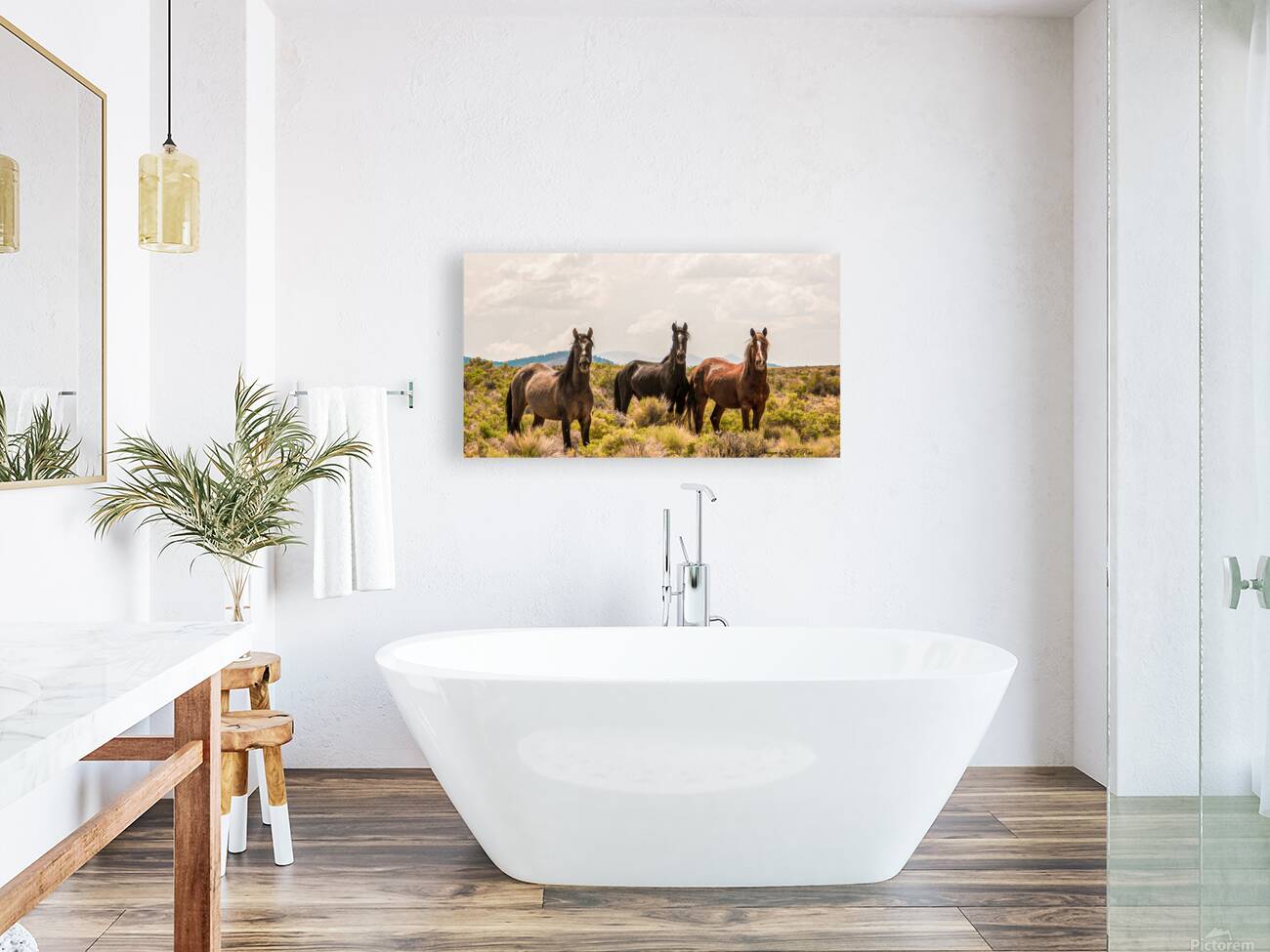 Nevada Mustang series 12 1 Reproduction