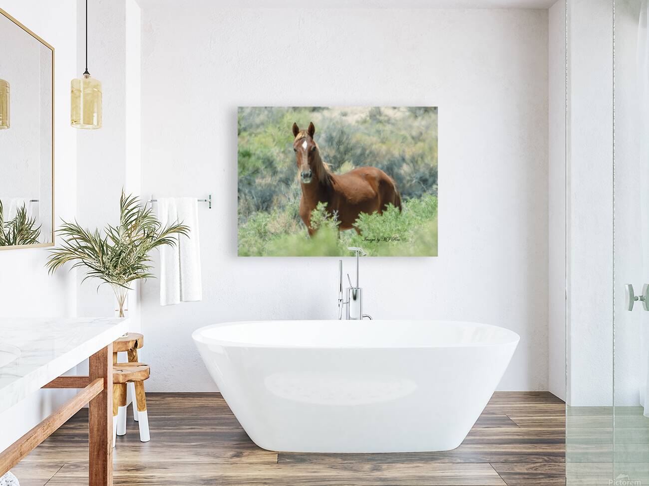 Nevada Mustang series 13 1 Reproduction