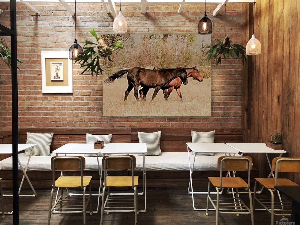 Nevada Mustang series 14 1 Reproduction