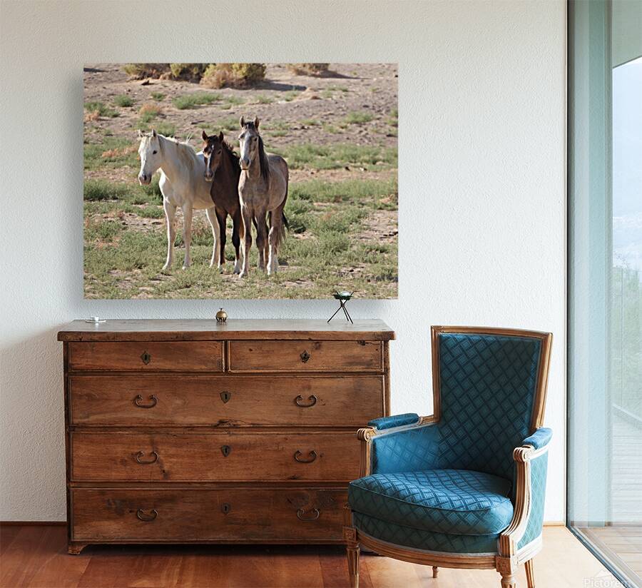 Nevada wild 4 Reproduction