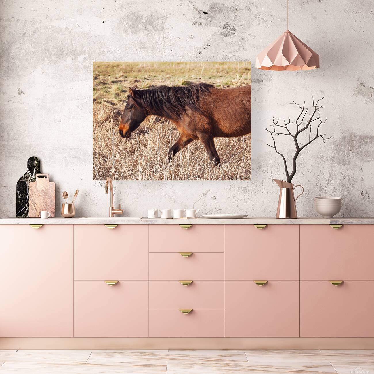 Nevada wild 5 Reproduction