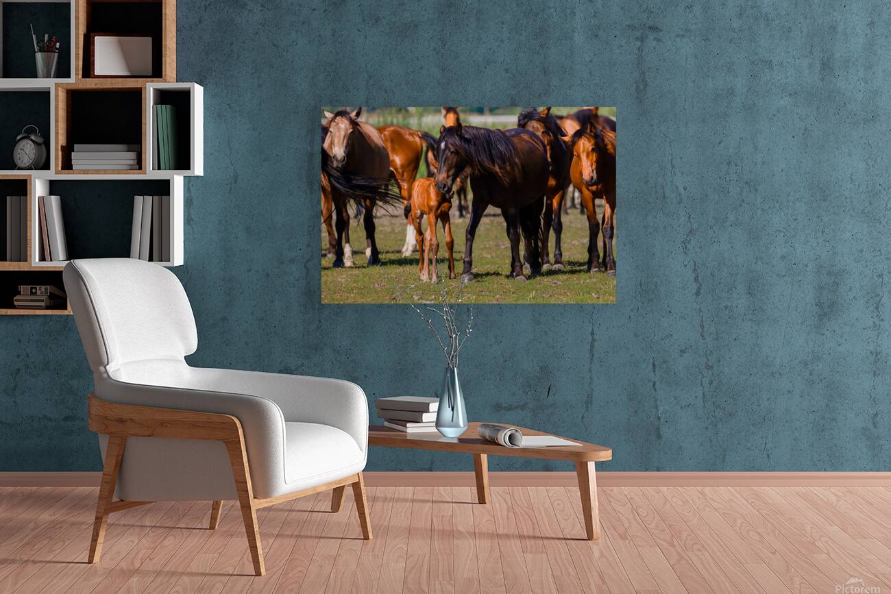 Nevada wild  Series VR1 1 Reproduction