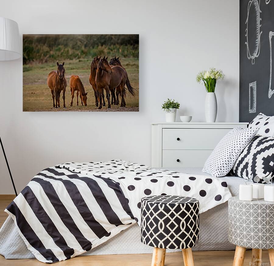 Nevada wild  Series VR1 2 Reproduction