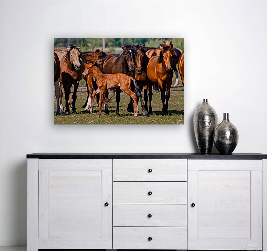 Nevada wild  Series VR1 3 Reproduction