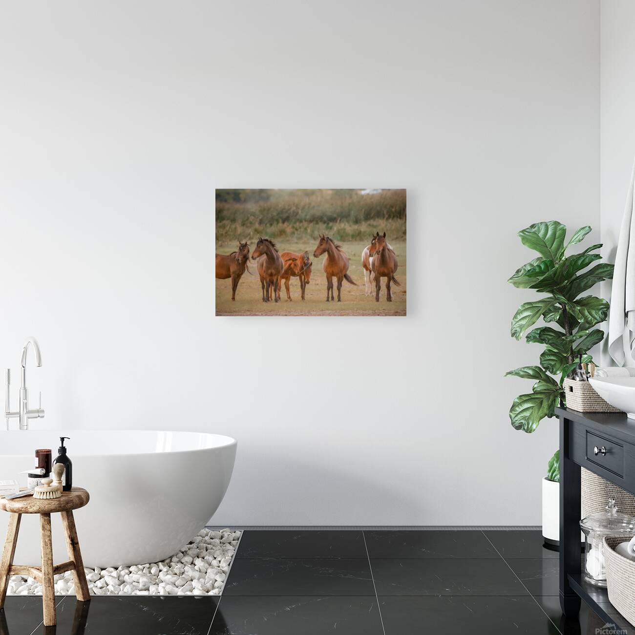 Nevada wild  Series VR1 2 Reproduction