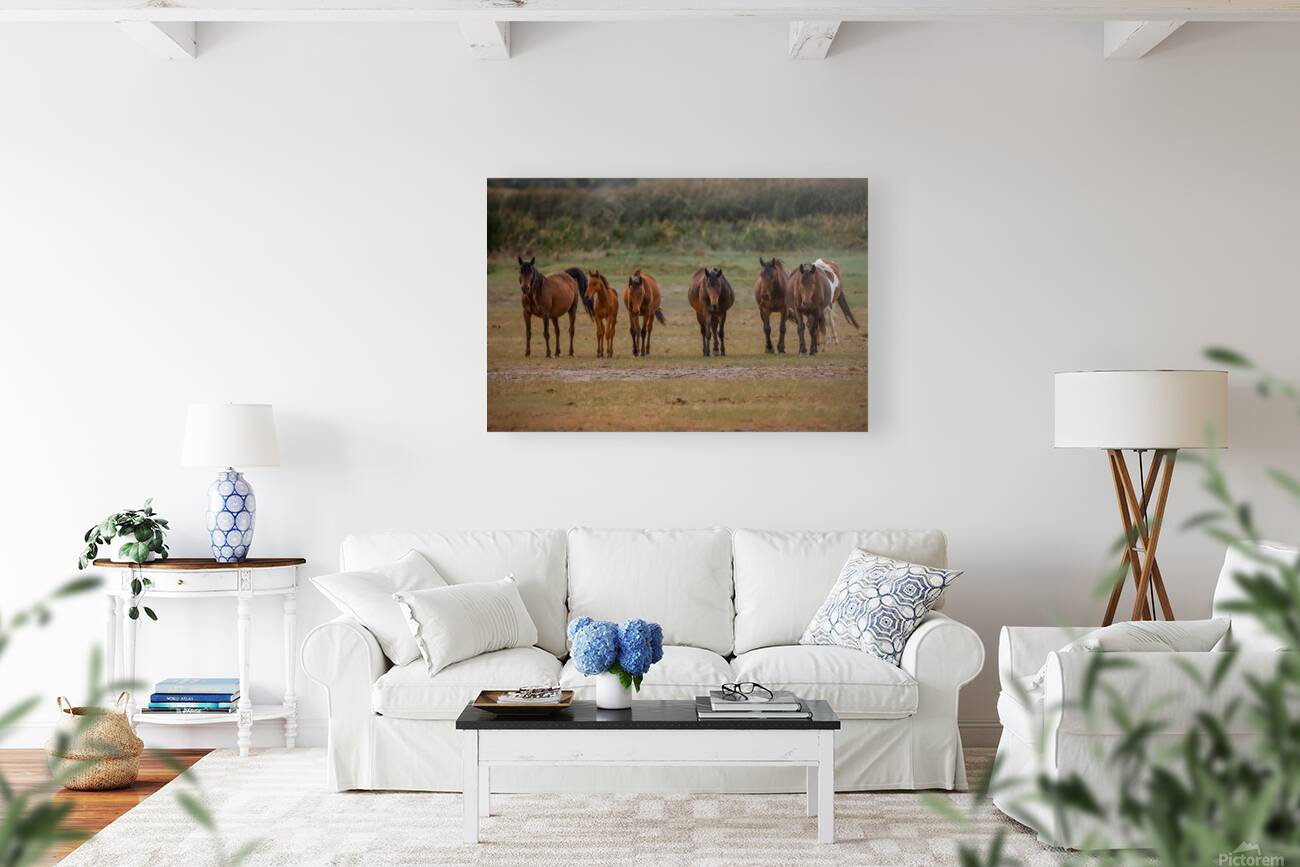 Nevada wild  Series VR1 3 Reproduction