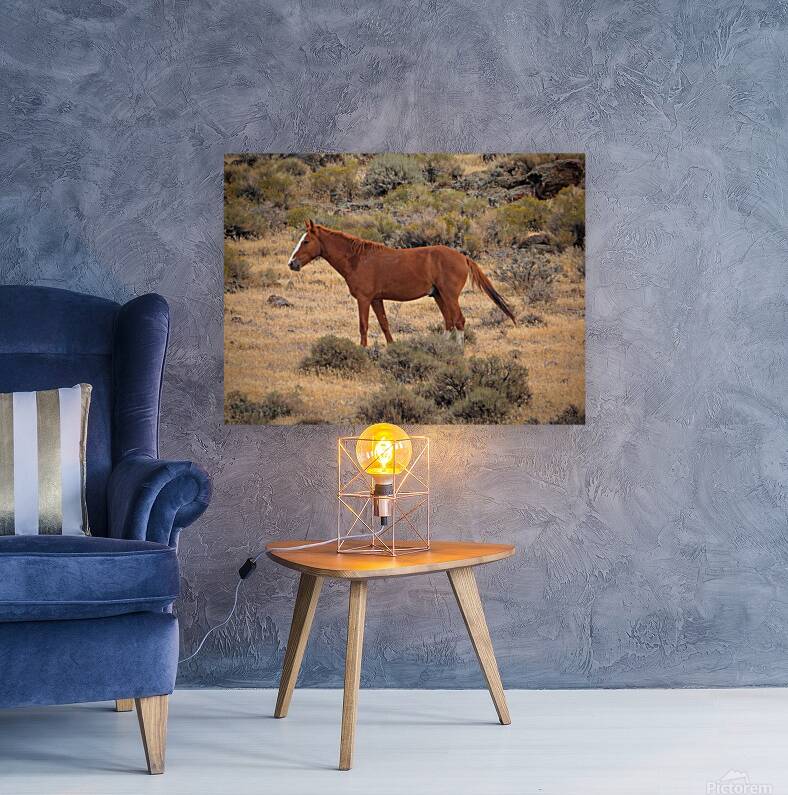 Nevada Mustang Series 16 1 Reproduction