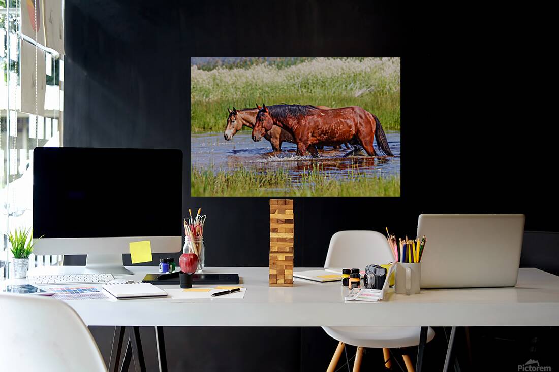 Nevada Mustang 1 2 Reproduction