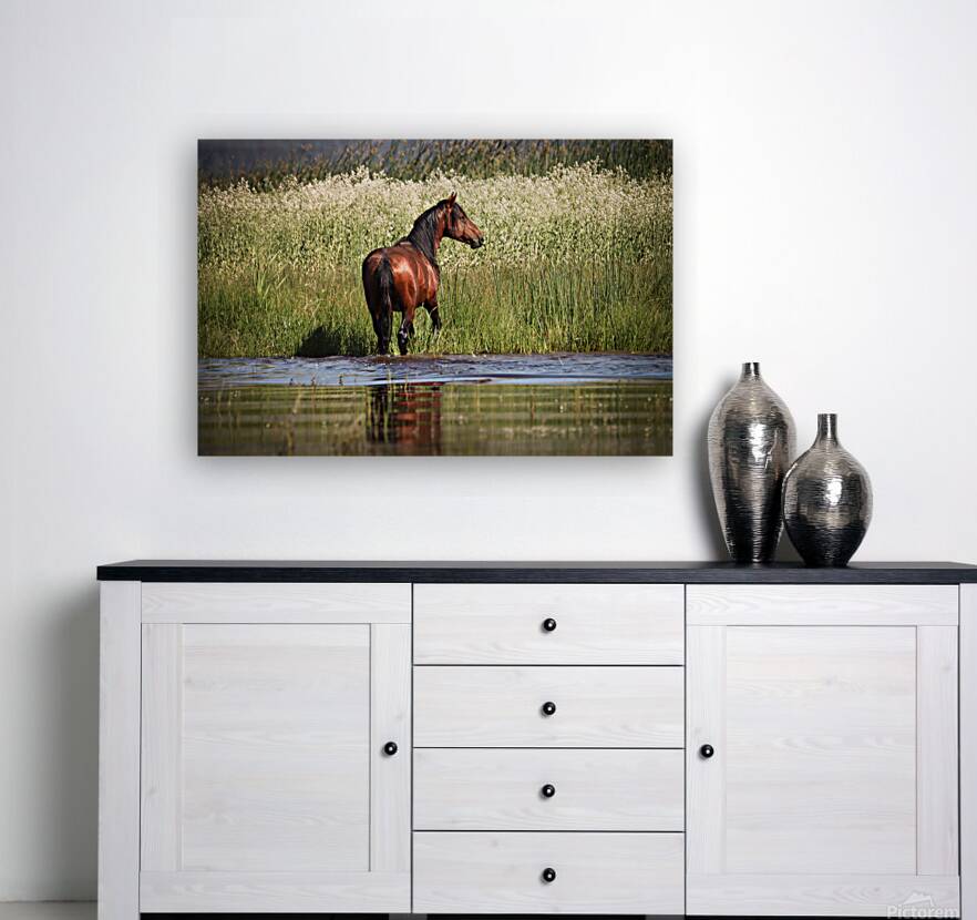 Nevada Mustang 1 5 Reproduction