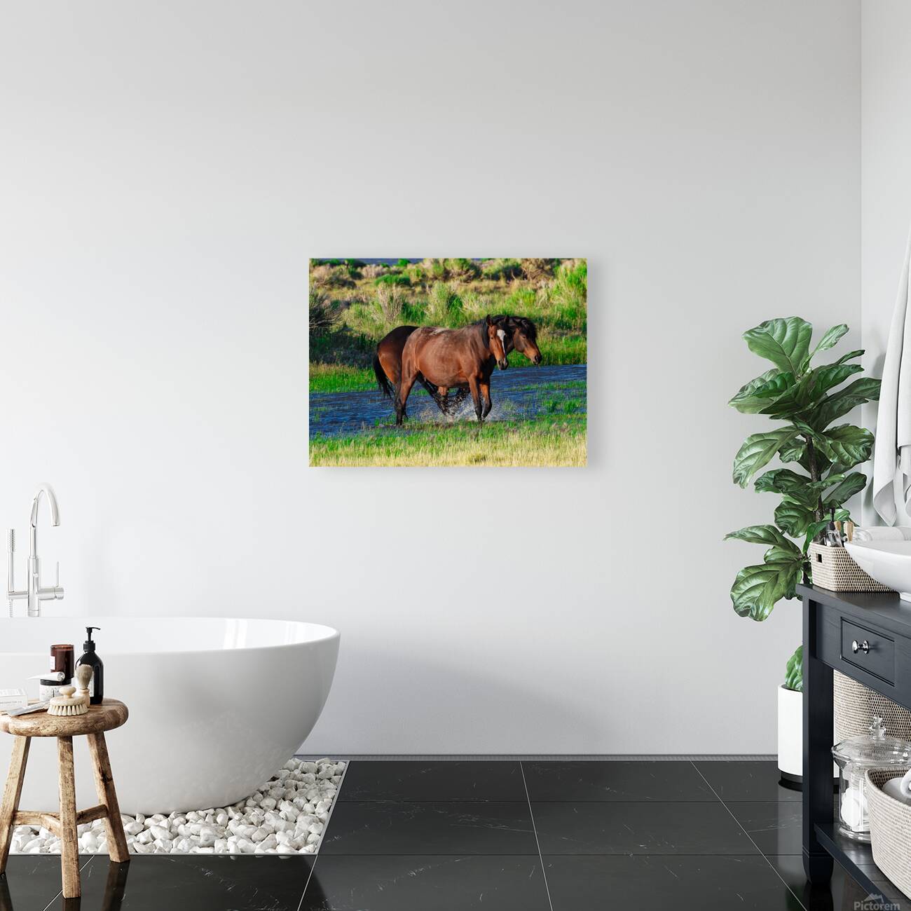 Nevada Mustang 1 6 Reproduction