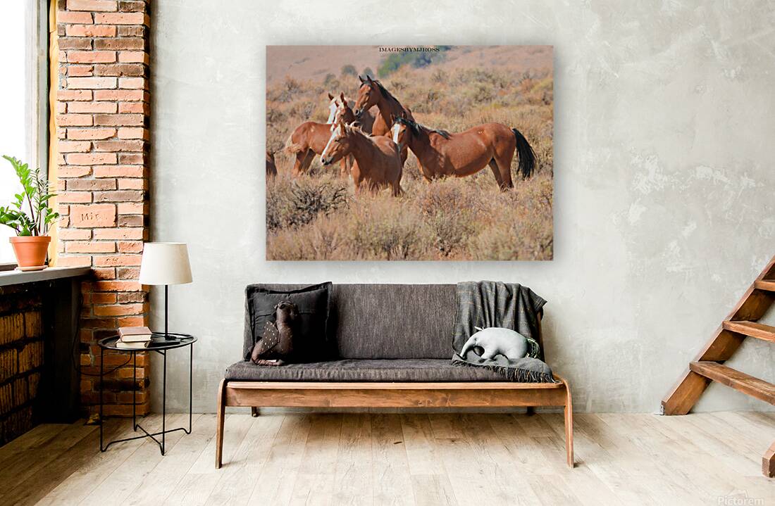 Nevada Mustang 2 6 Reproduction