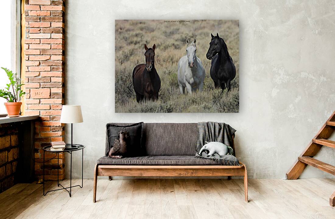 Nevada Mustang 3 2 Reproduction