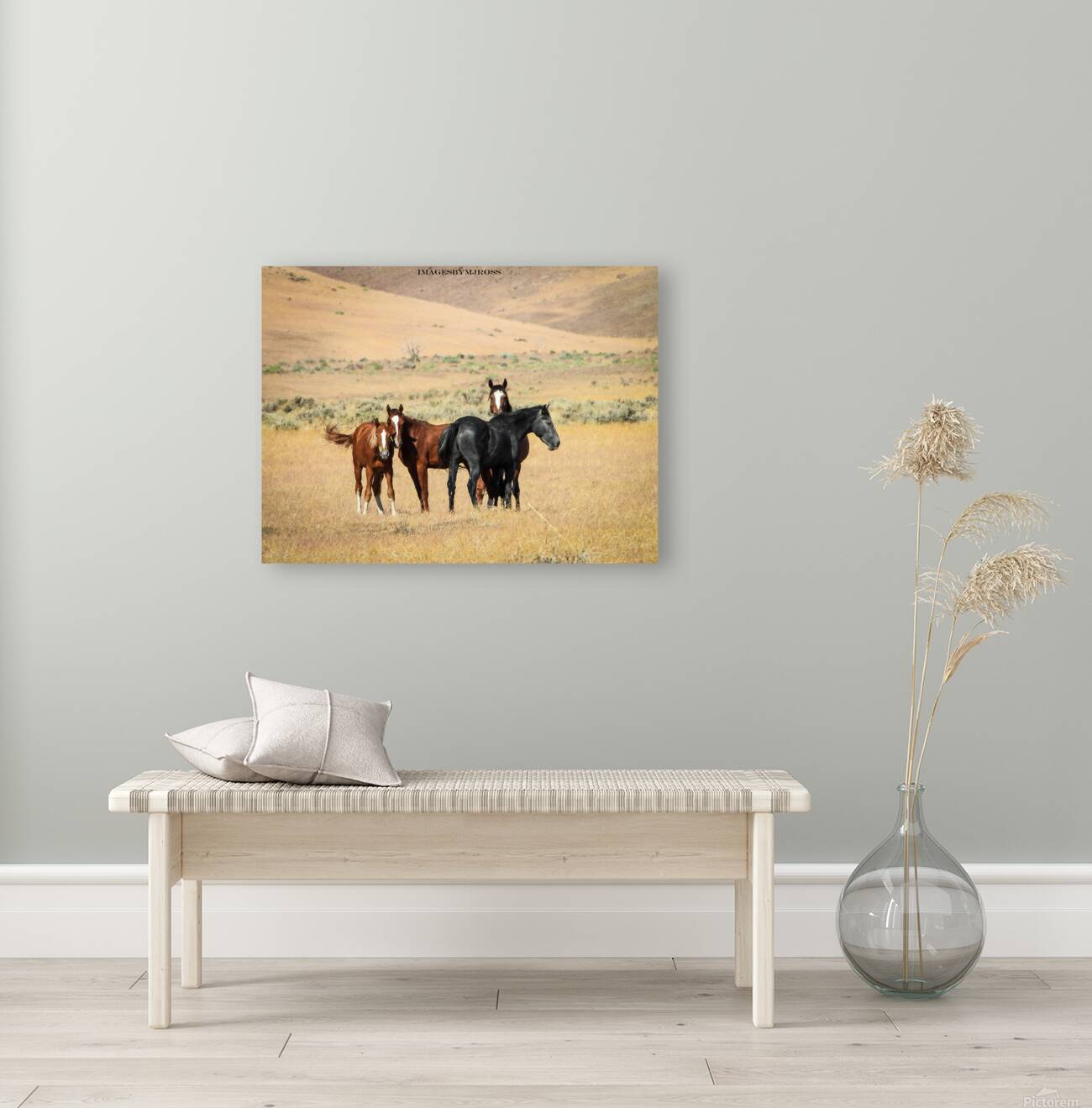 Nevada Mustang 3 3 Reproduction