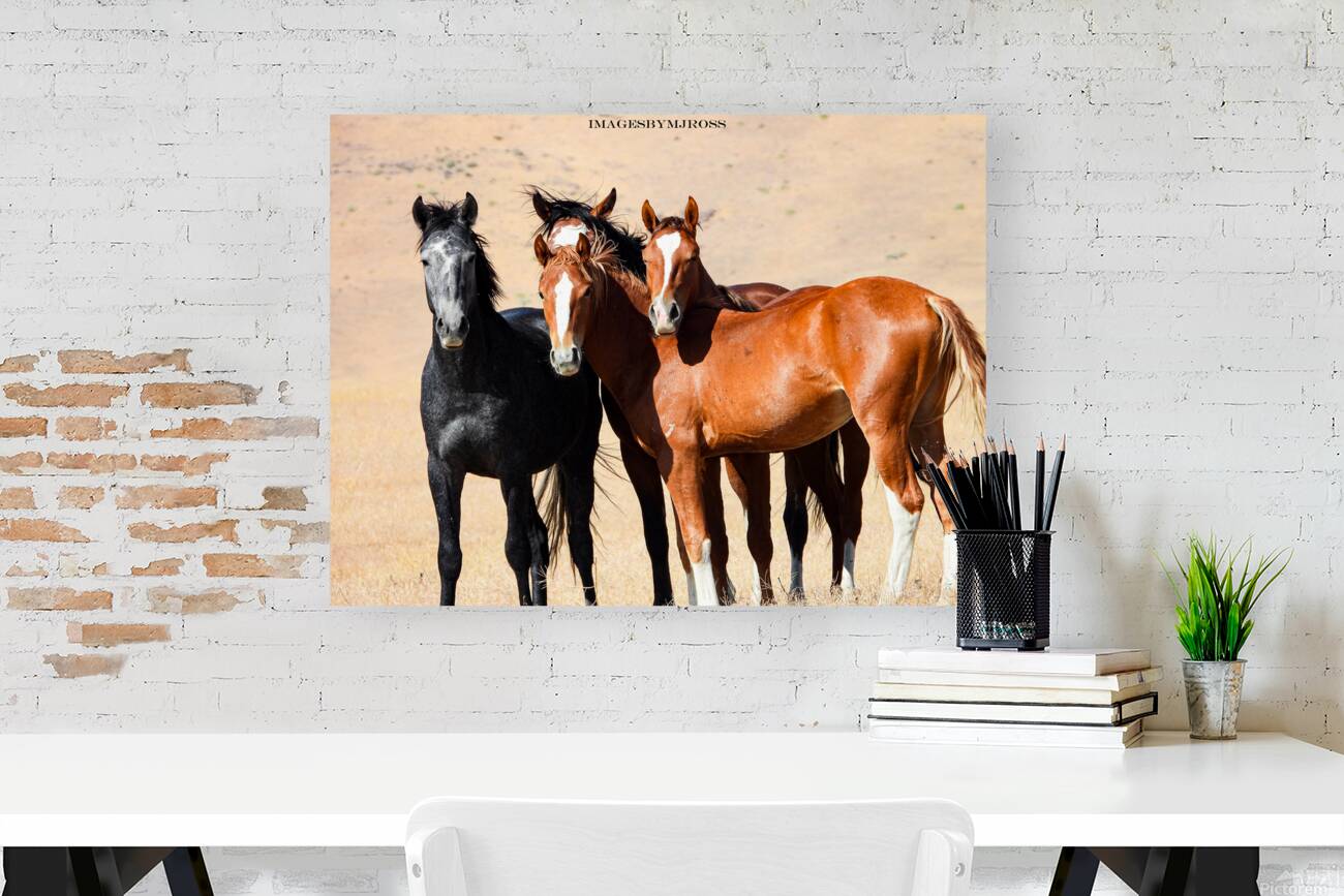 Nevada Mustang 3 5 Reproduction