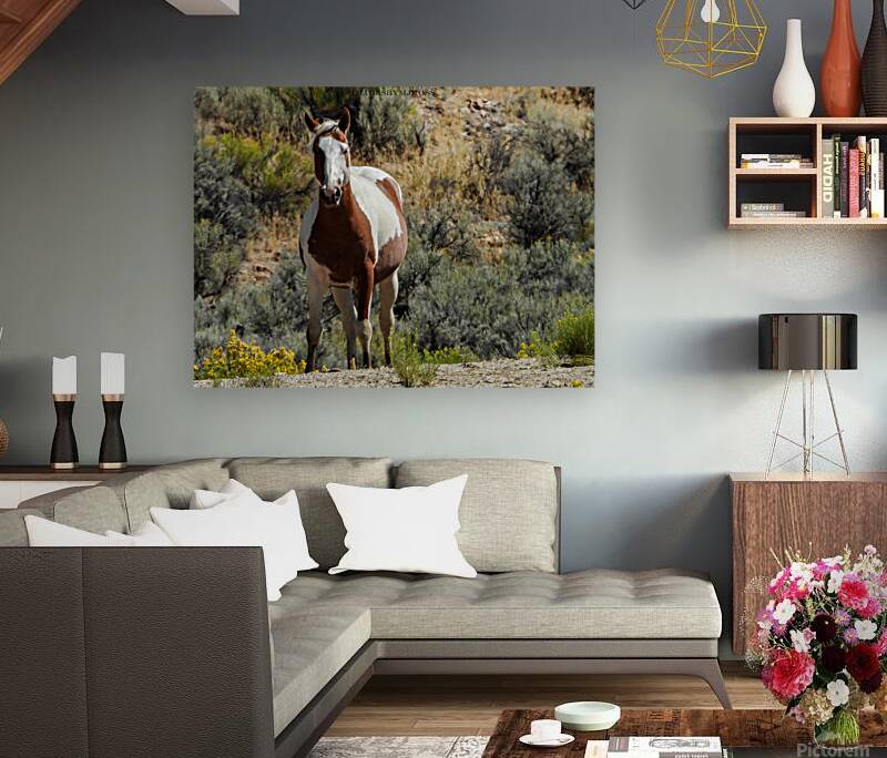 Nevada Mustang 3 6 Reproduction