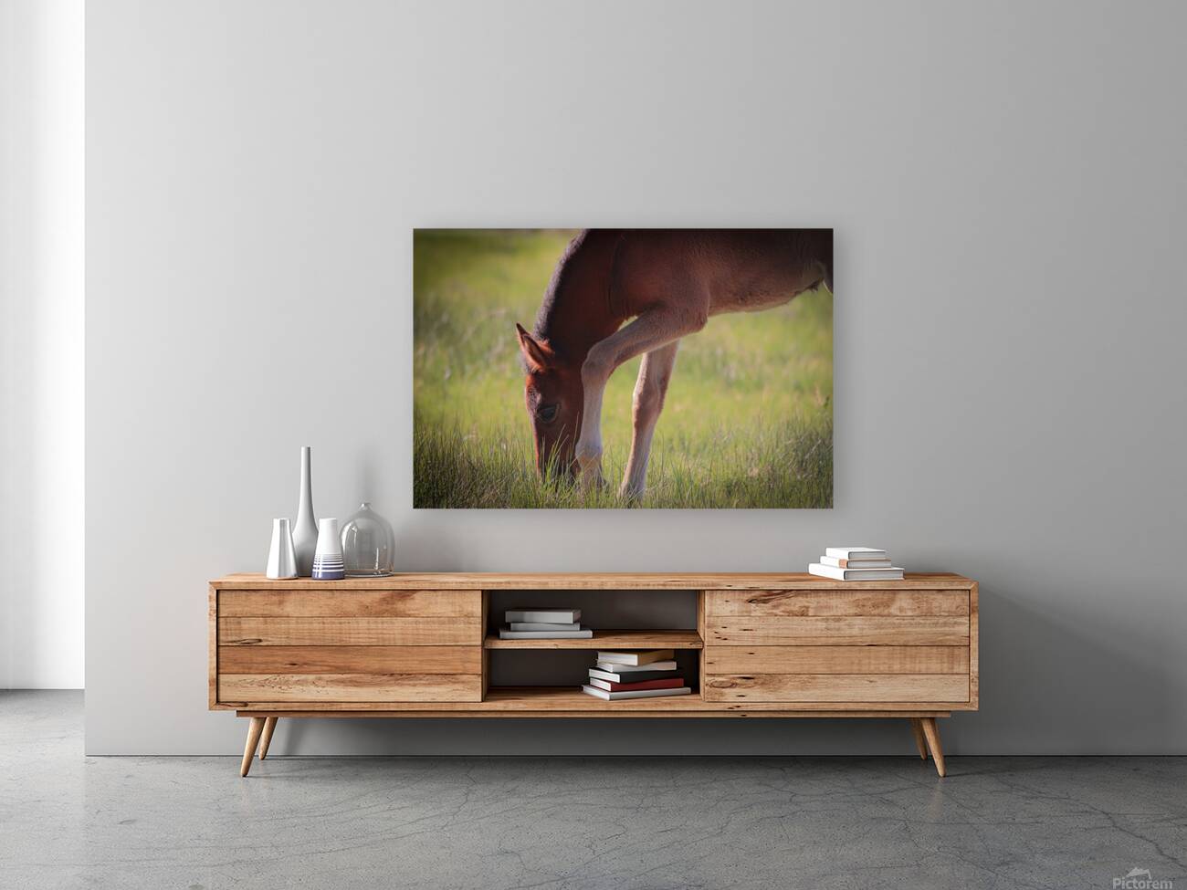 Nevada Wild 13 1 Reproduction