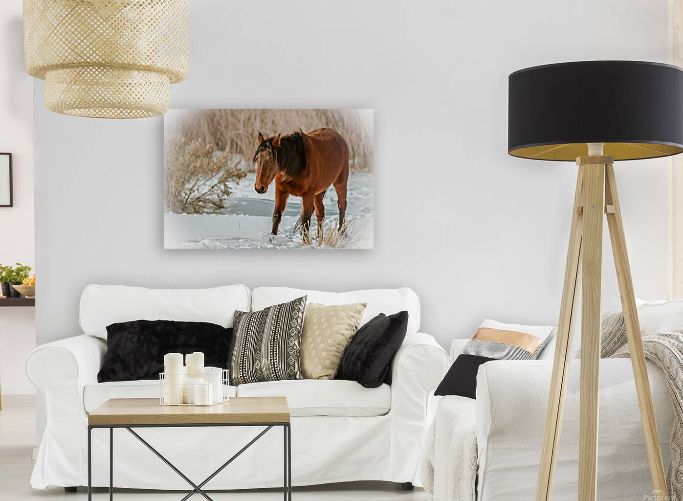 Nevada Wild Winter2 1 Reproduction