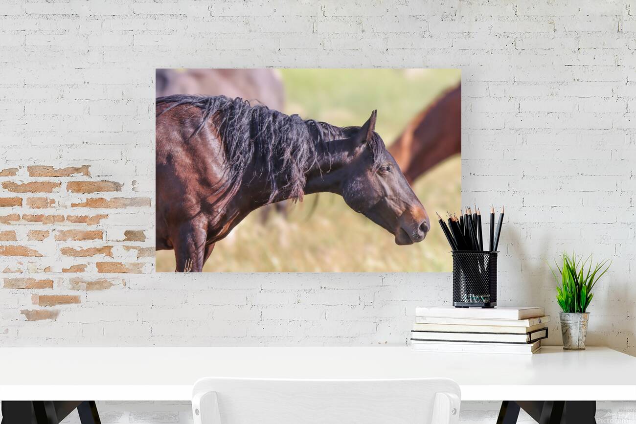 Nevada Wild 165 2 Reproduction