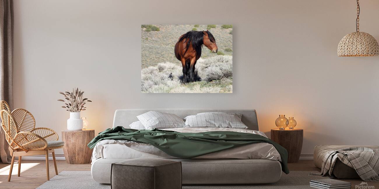 Nevada Wild 165 1 Reproduction