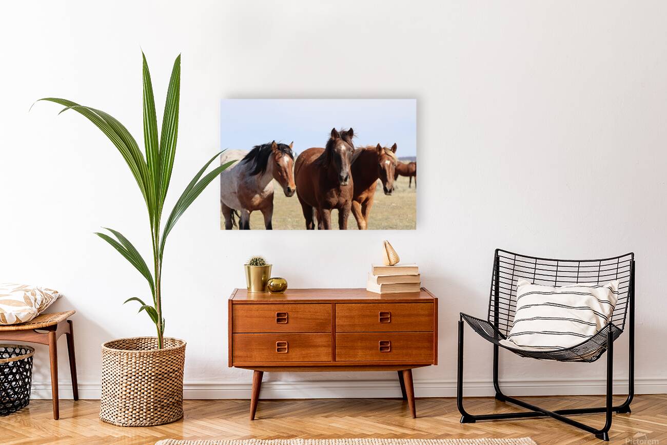 Nevada Wild 165 1 Reproduction