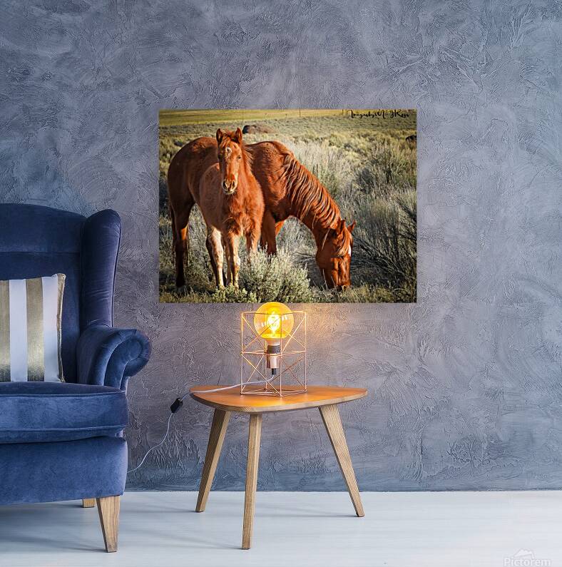 Nevada Wild 165 1 Reproduction