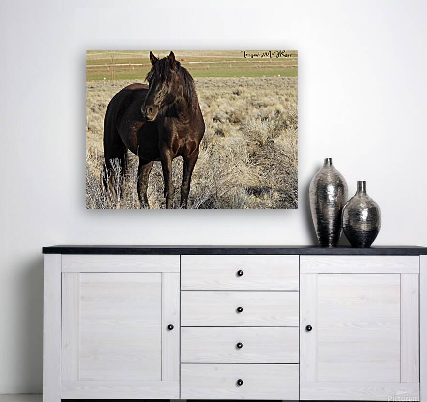 Nevada Wild 165 1 Reproduction