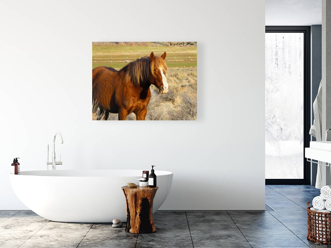 Nevada Wild 165 1 Reproduction