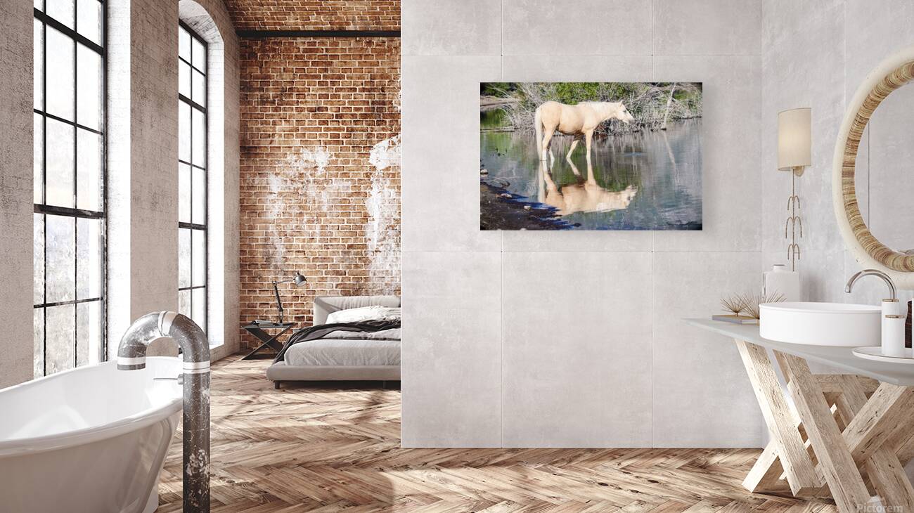 Nevada Wild 165 1 Reproduction