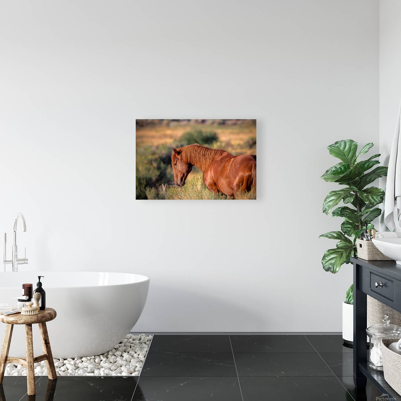 Nevada Wild 165 1 Reproduction