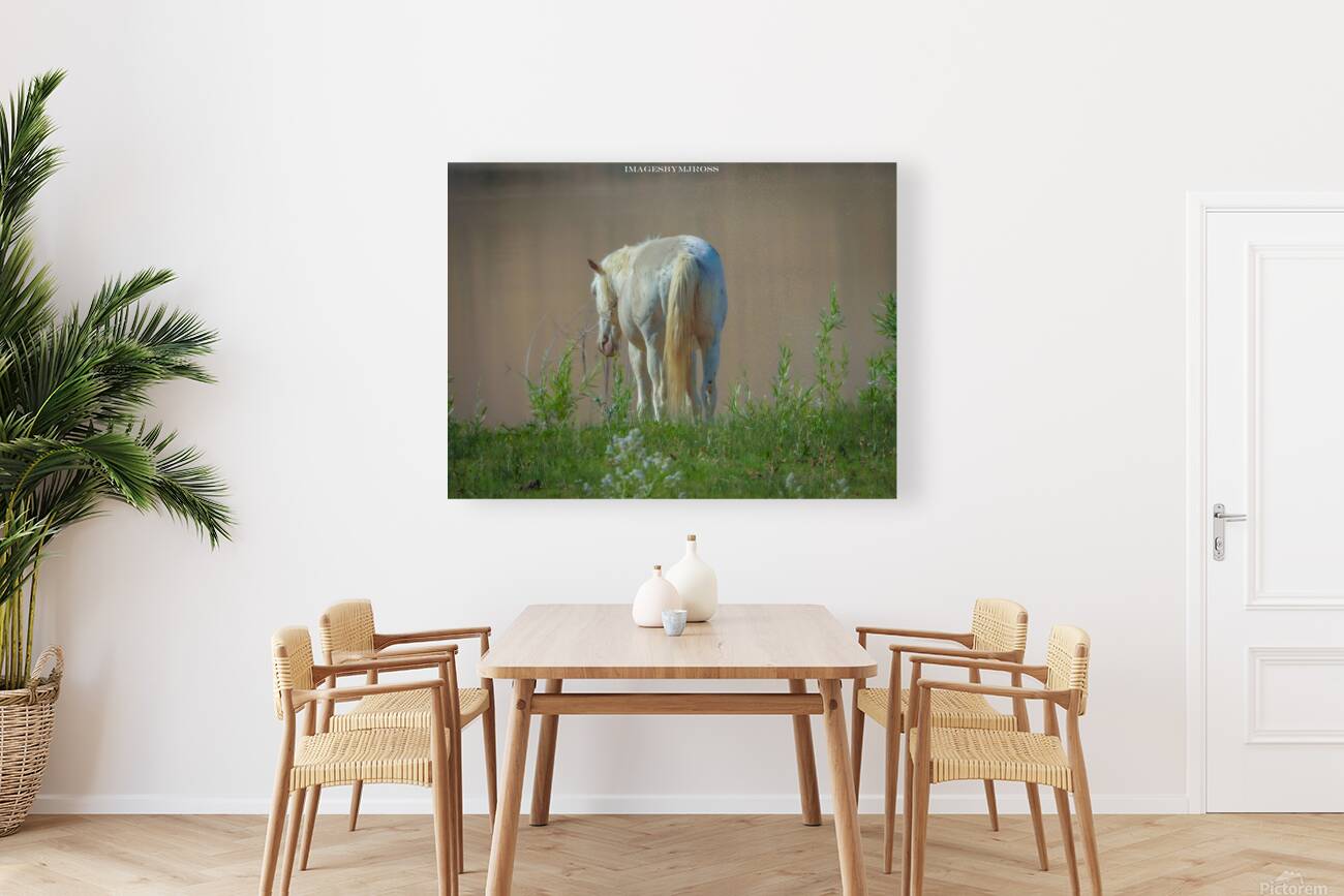 Nevada Wild 165 1 Reproduction