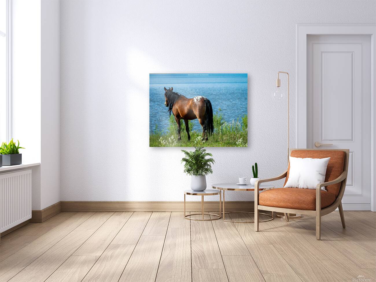 Nevada Wild 165 1 Reproduction