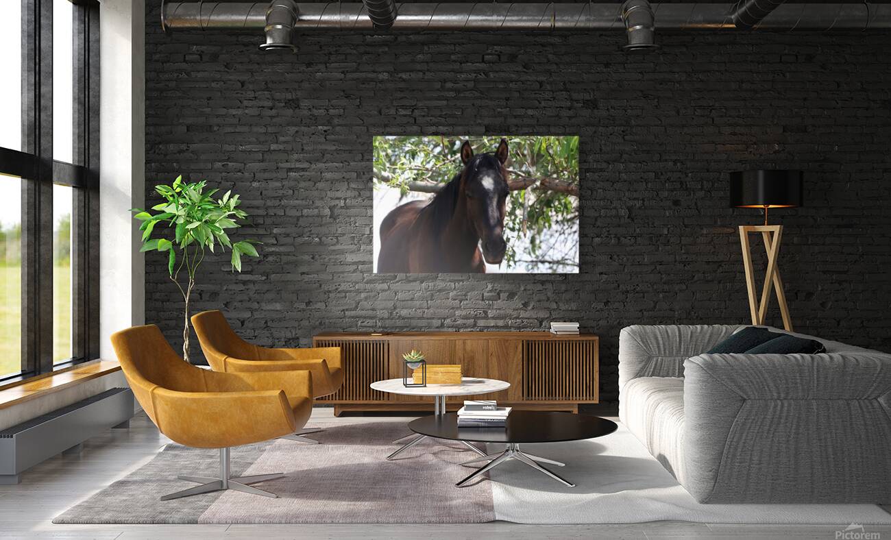 Nevada Wild 165 1 Reproduction