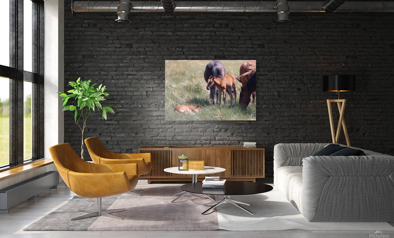 Nevada Wild 165 1 Reproduction