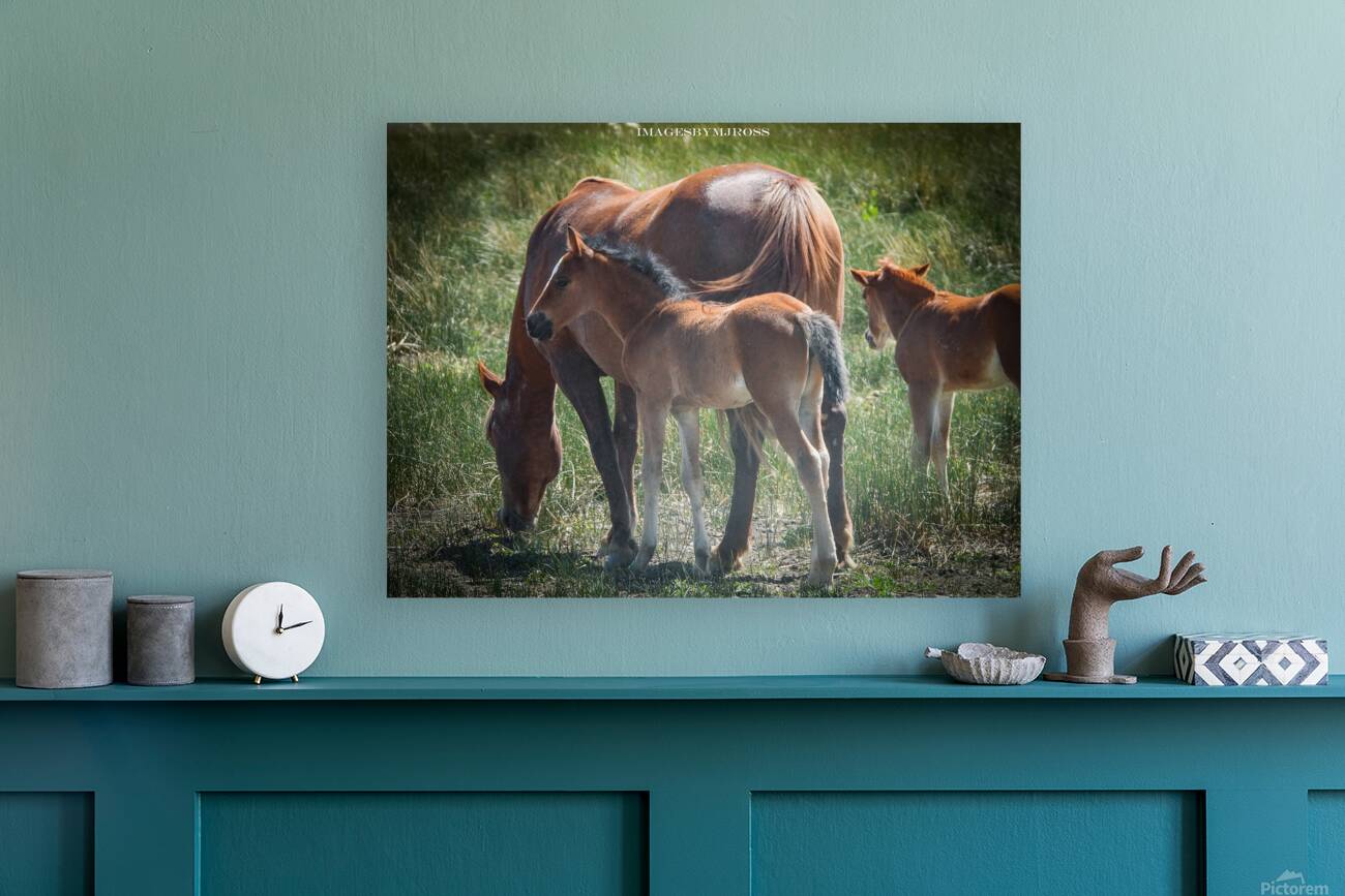 Nevada Wild 165 1 Reproduction