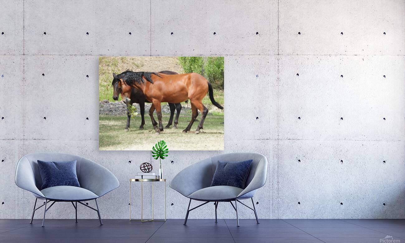 Nevada Wild 165 1 Reproduction