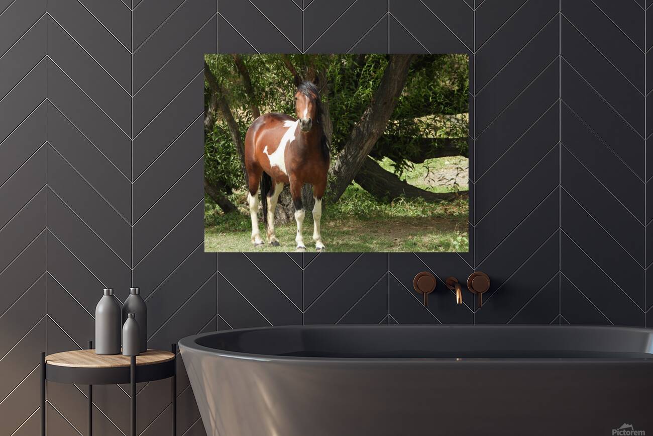 Nevada Wild 165 1 Reproduction