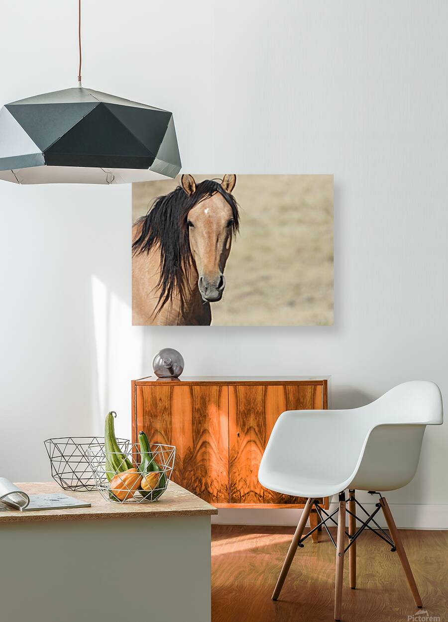 Nevada Wild 165 1 Reproduction