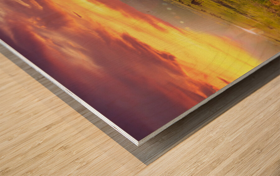 The Best Day Wood print